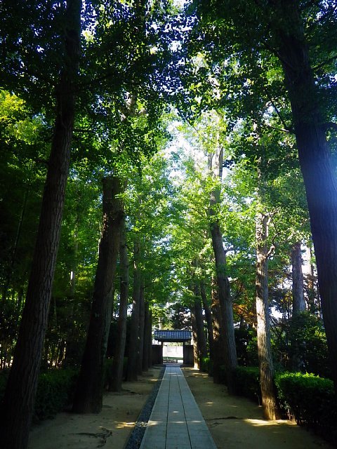 ootagurokoen_02.jpg 137KB 