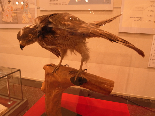 SuginamiRekishiMuseum_10.jpg 189KB