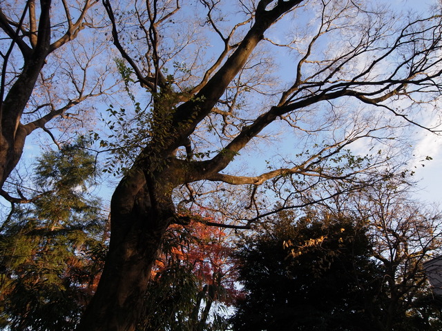 SuginamiRekishiMuseum_15.jpg 208KB