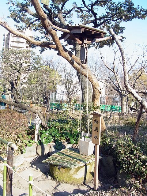 mukoujimahyakkaen_31.jpg 165KB