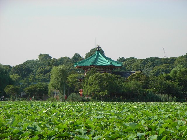 20070606_benzaiten.jpg 79KB