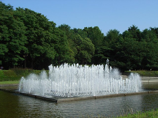 20070606_fountain_1.jpg 86KB