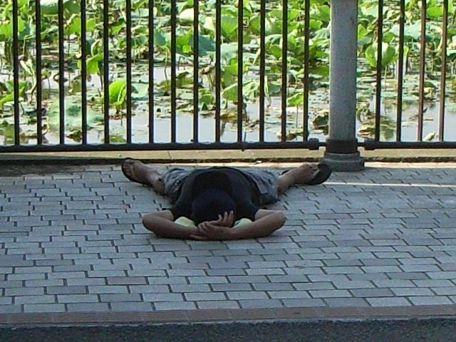 20070606_sleeper.jpg 98KB