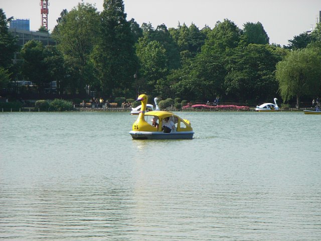 20070606_swanboat.jpg 74KB