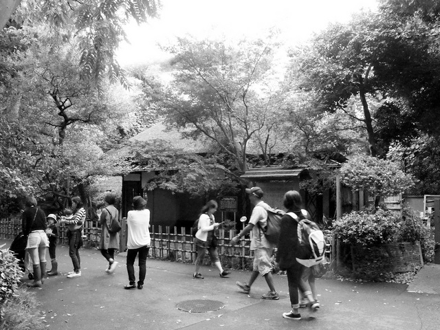 kankantei_01.jpg 166KB