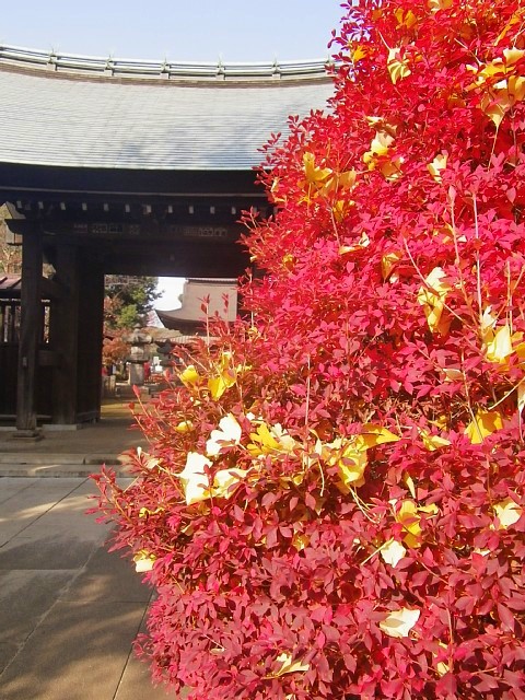 正福寺 2010-11-28