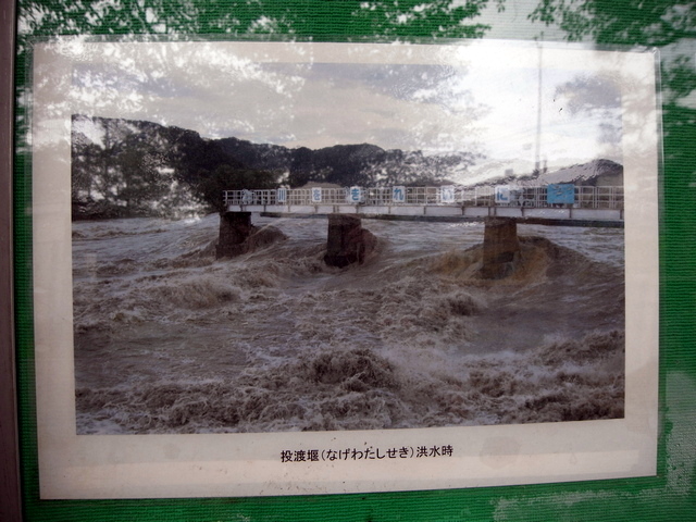 羽村取水堰（投渡堰）　洪水時の様子