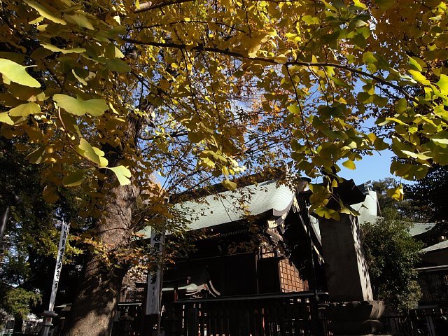 kishimojin_01.jpg 150KB