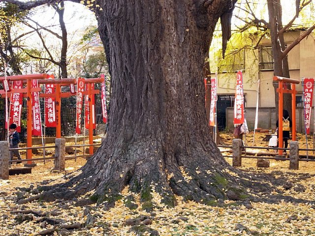 kishimojin_04.jpg 148KB