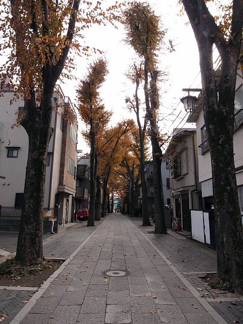 kishimojin_09.jpg 118KB