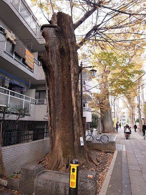 kishimojin_10.jpg 133KB