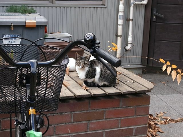 kishimojin_14.jpg 95KB