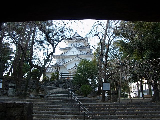 oogaki_castle_10.jpg 116KB