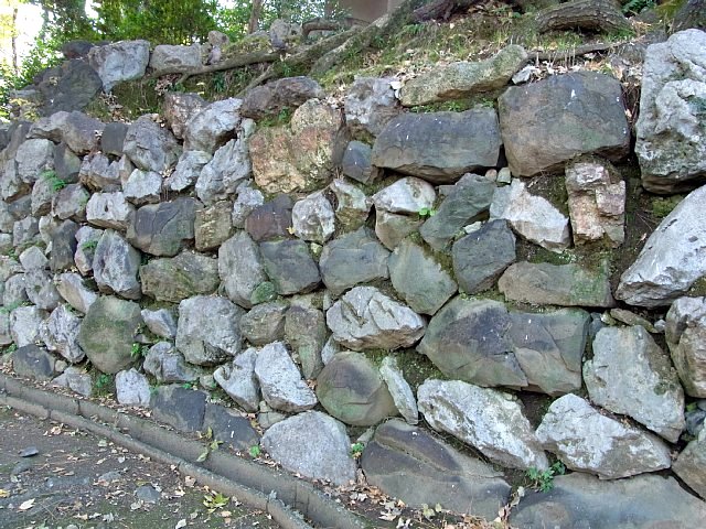 oogaki_castle_14.jpg 131KB