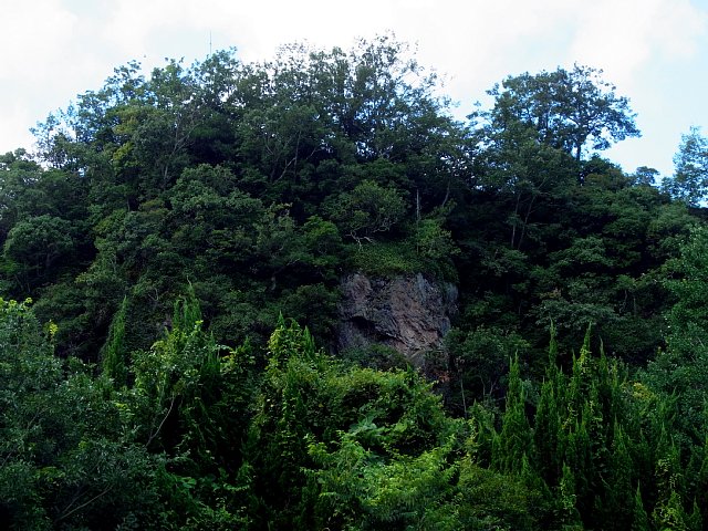 unuma_castle_06.jpg 109KB