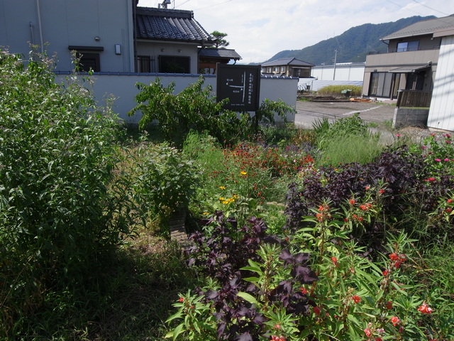 suwabe_12.jpg 211KB