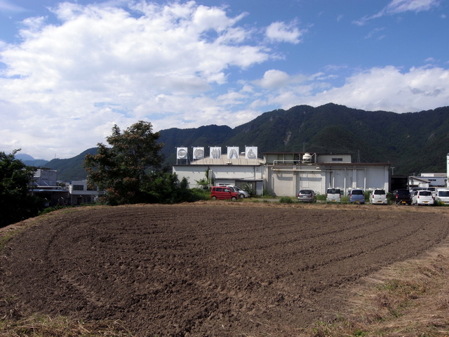 suwabe_15.jpg 184KB
