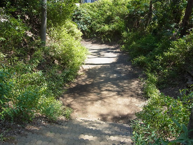  岩槻城址公園　空堀 