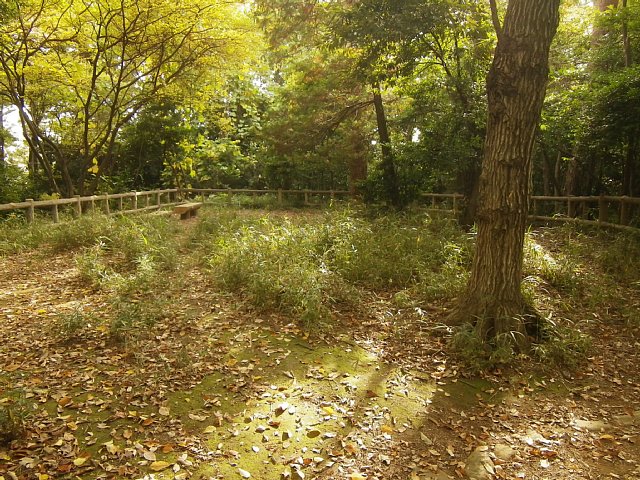 岡城　（埼玉県朝霞市）　三の郭