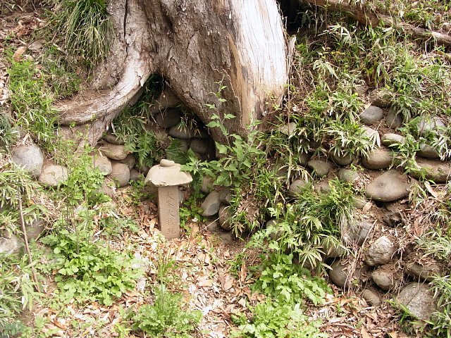 takinojyo_04.jpg 170KB