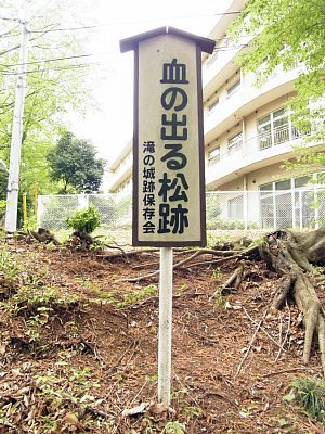 takinojyo_19.jpg 56KB
