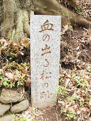 takinojyo_20.jpg 65KB
