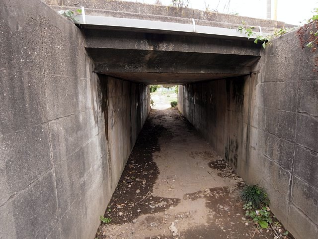 武蔵野線のマンボウトンネル