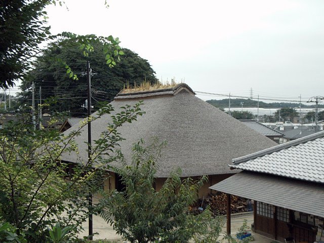 niikura_hurusato_minkaen_01.jpg 89KB