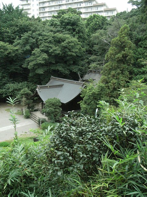 白子熊野神社（埼玉県和光市） 