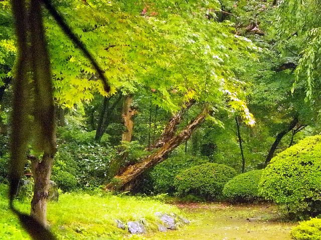 008_kitain_17.jpg 164KB