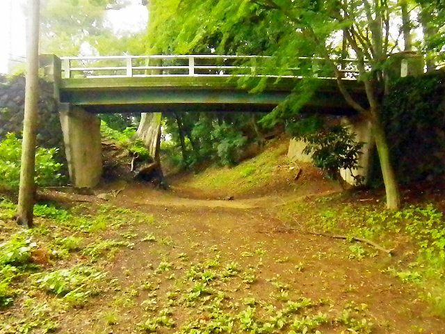 008_kitain_30.jpg 119KB