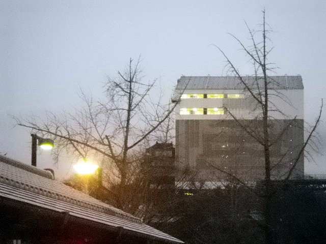  姫路城　朝の天空の白鷺 
