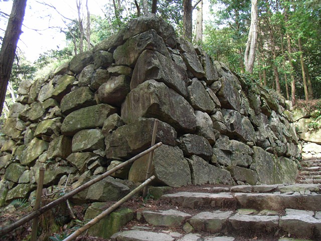 aduchi_15.jpg 139KB