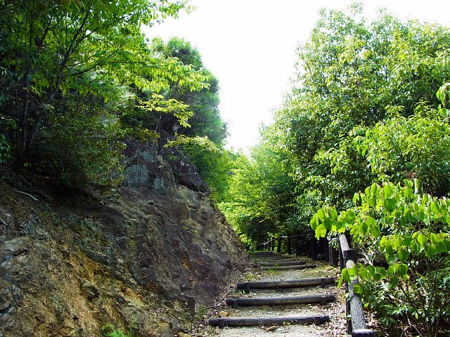 yamazakiyama-castle_07.jpg 154KB