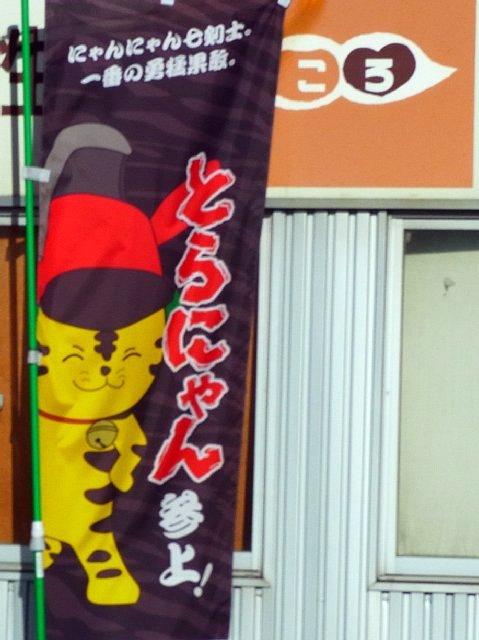 kora_17.jpg 63KB