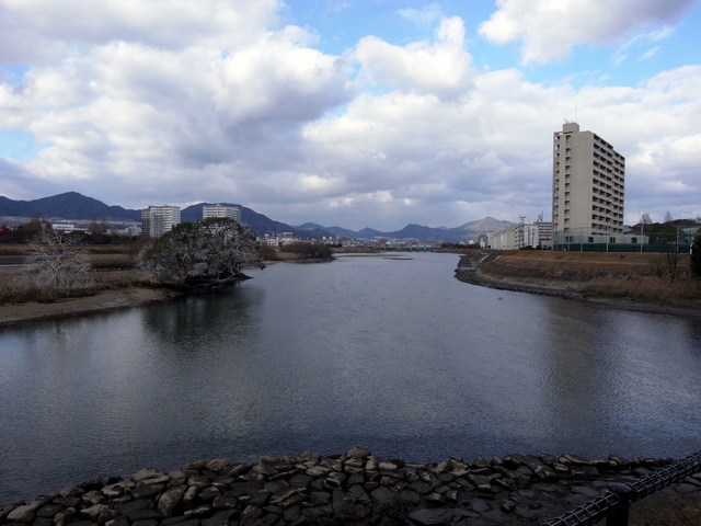 太田川・京橋川分流点　一本木鼻の水制