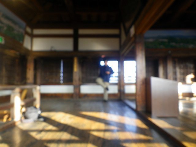 松江城 ピンボケのシェー