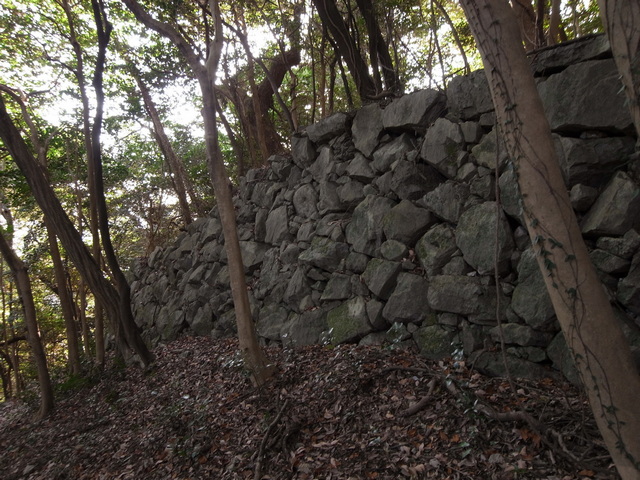 IwakuniCastle_35.jpg 197KB