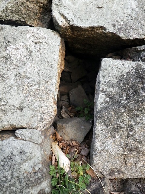  丸亀城　石垣の隙間 
