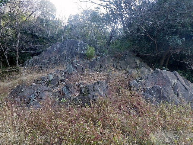 marugame-castle_042.jpg 165KB