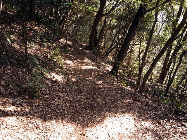 IwayaCastle_15.jpg 149KB