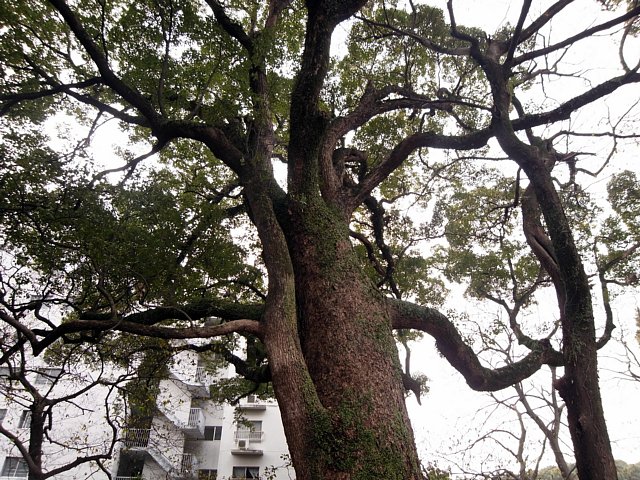 FukuokaCastle_036.jpg 160KB