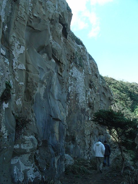 鵜戸崎千畳敷奇岩群へ降りる小道