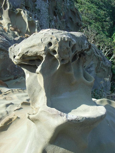 udozaki_14.JPG 81KB