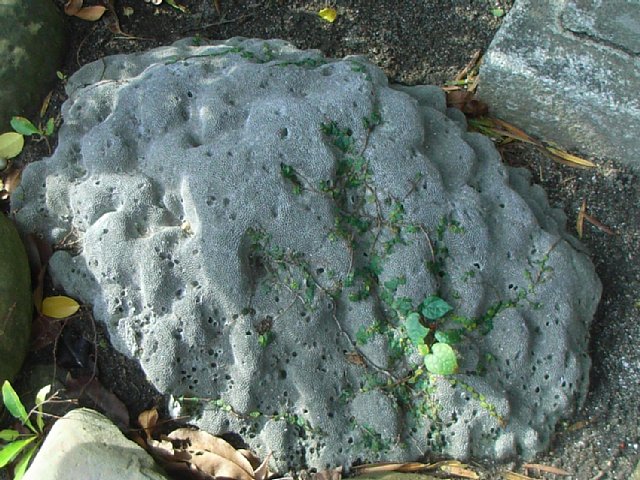 r5_071228-081203_290.JPG 104KB