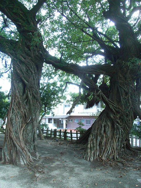 uchiumi-no-akoh_06.JPG 116KB