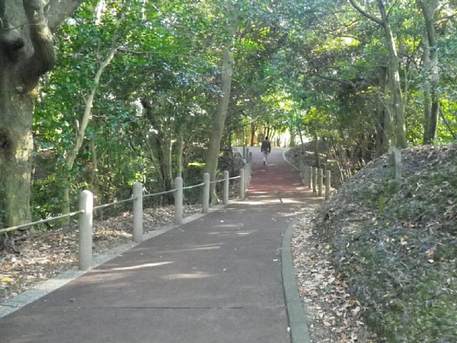 観音寺山公園