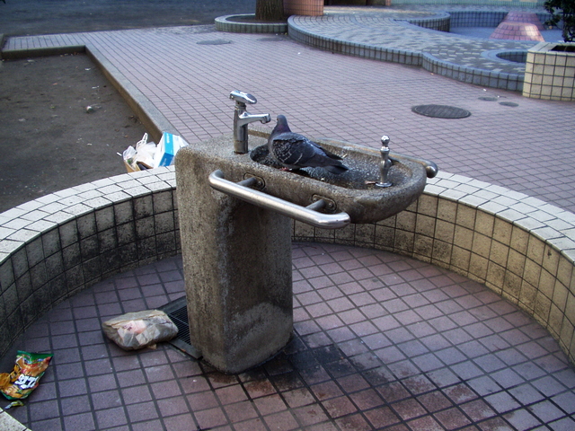 2007/02/24　芳林公園（改装前）（東京都千代田区）