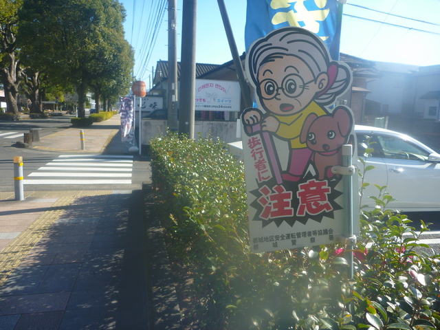 飛び出し坊やならぬ歩行者ばあちゃん