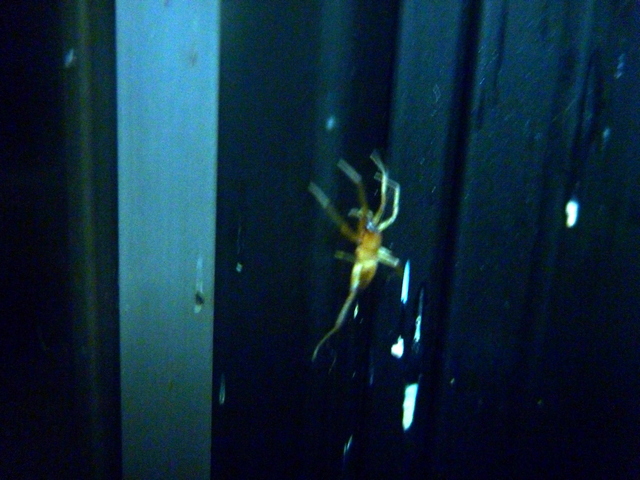 薩摩川尻駅の電話ボックス